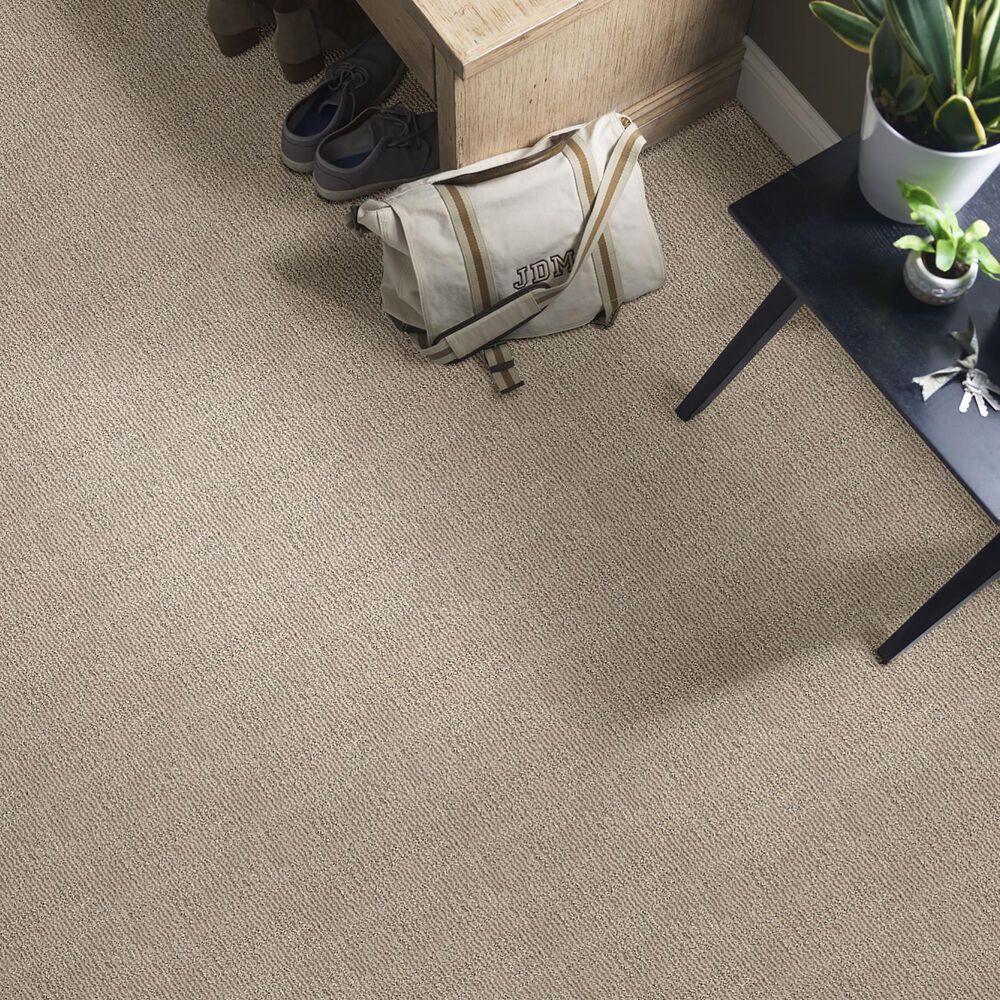 Anderson Tuftex Loredo Carpet in Adobe Beige, , large