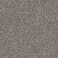 Phenix Canvas II Carpet in Tarp, , large