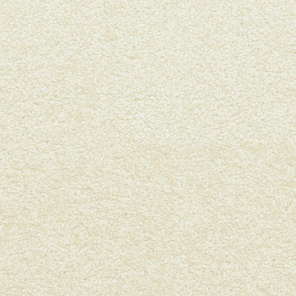 Dixie Home Simplicity Carpet in Water Chestnut, , large
