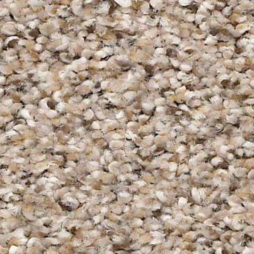Shaw Elemental Mix III Carpet in Acreage, , large