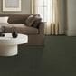 Shaw Hard At Play II Carpet in Rerooted Nature, , large