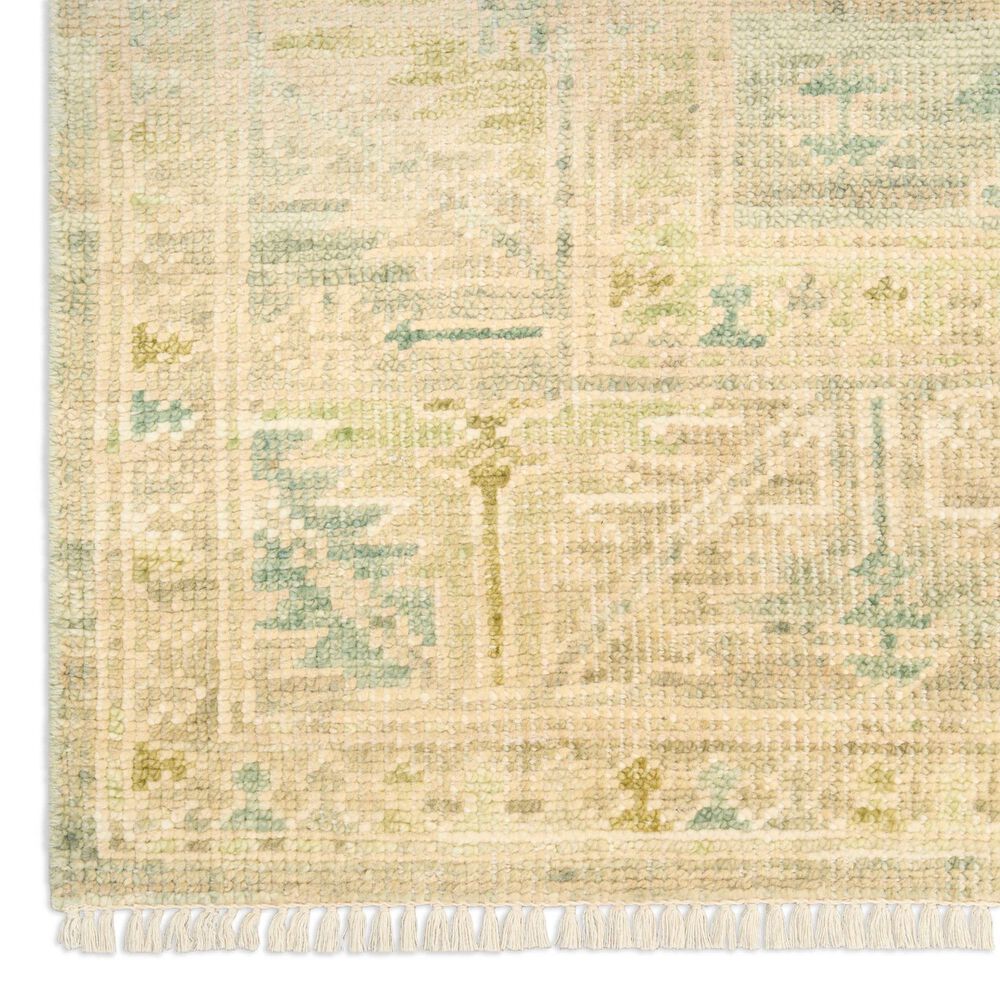 Nourison Odessa Green 10' x 14' Area Rug, , large
