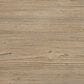 Eastern Shore Bello Convertible Crib in Sandstone, , large