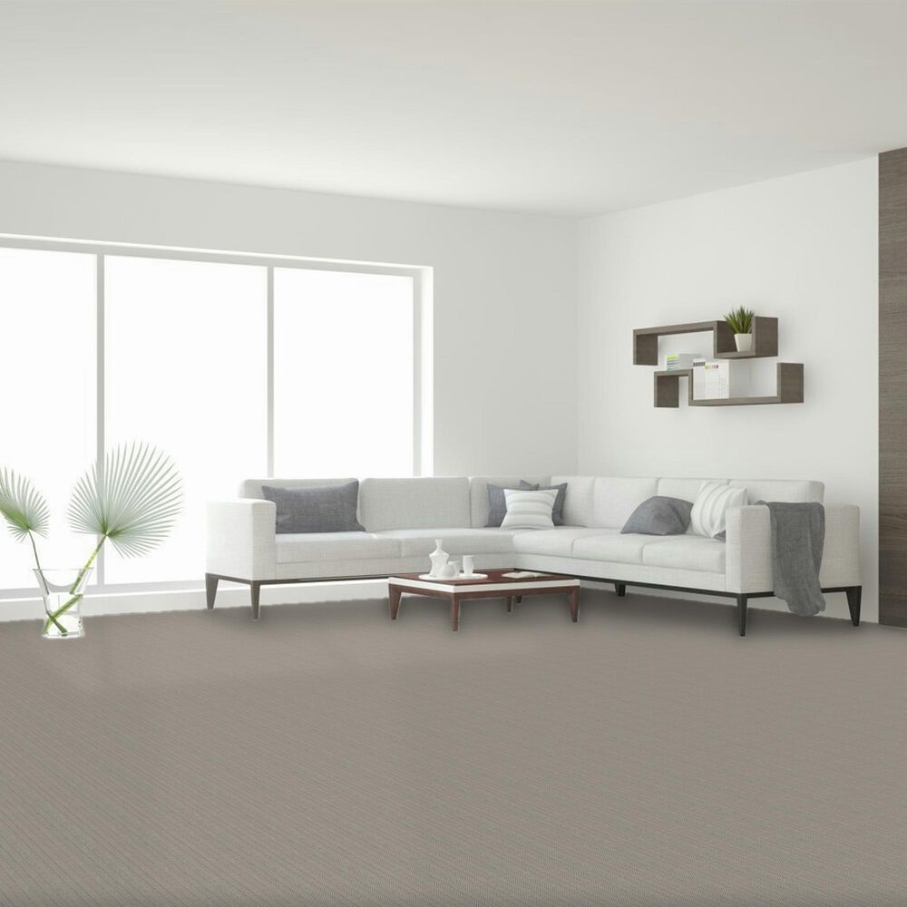 Dream Weaver San Lucas II Carpet in Yuma, , large