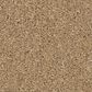 Anderson Tuftex Enduring Charm Carpet in Winter Wheat, , large