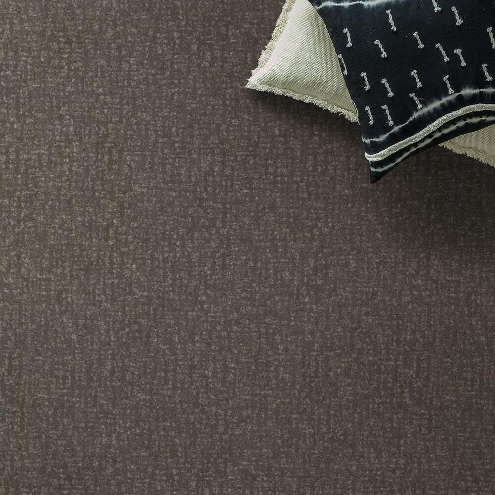 Anderson Tuftex Caboodle Carpet in Shade, , large