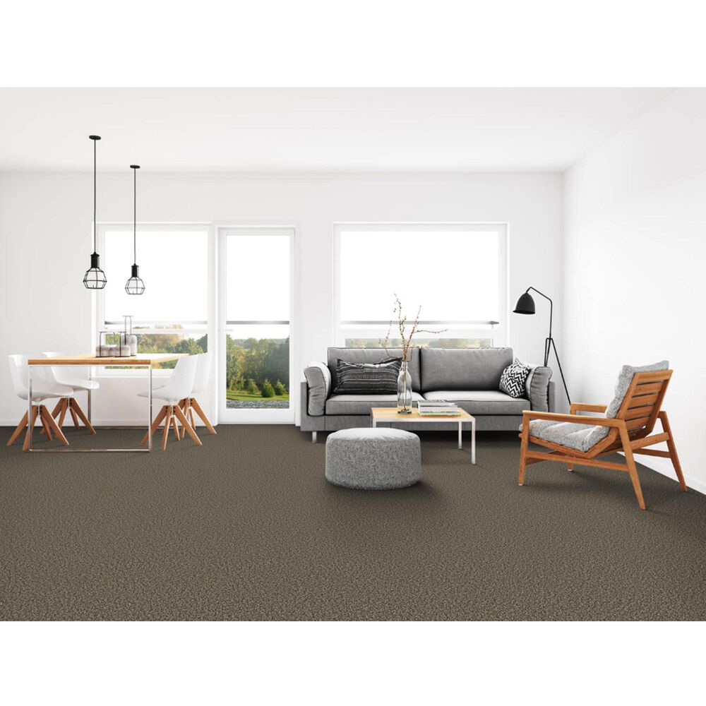 Dixie Home Outlast Carpet in Boulder, , large
