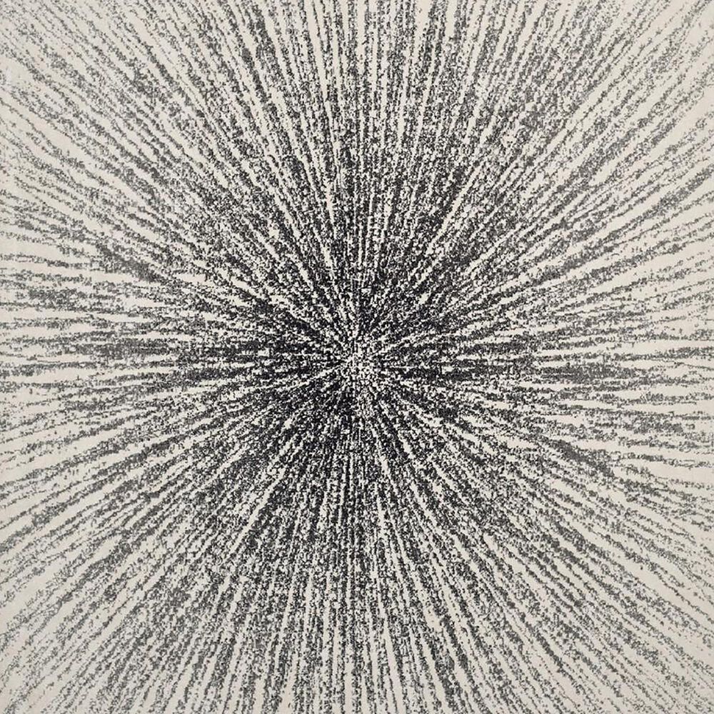 Safavieh Evoke EVK228K 11&#39; x 15&#39; Black and Ivory Area Rug, , large