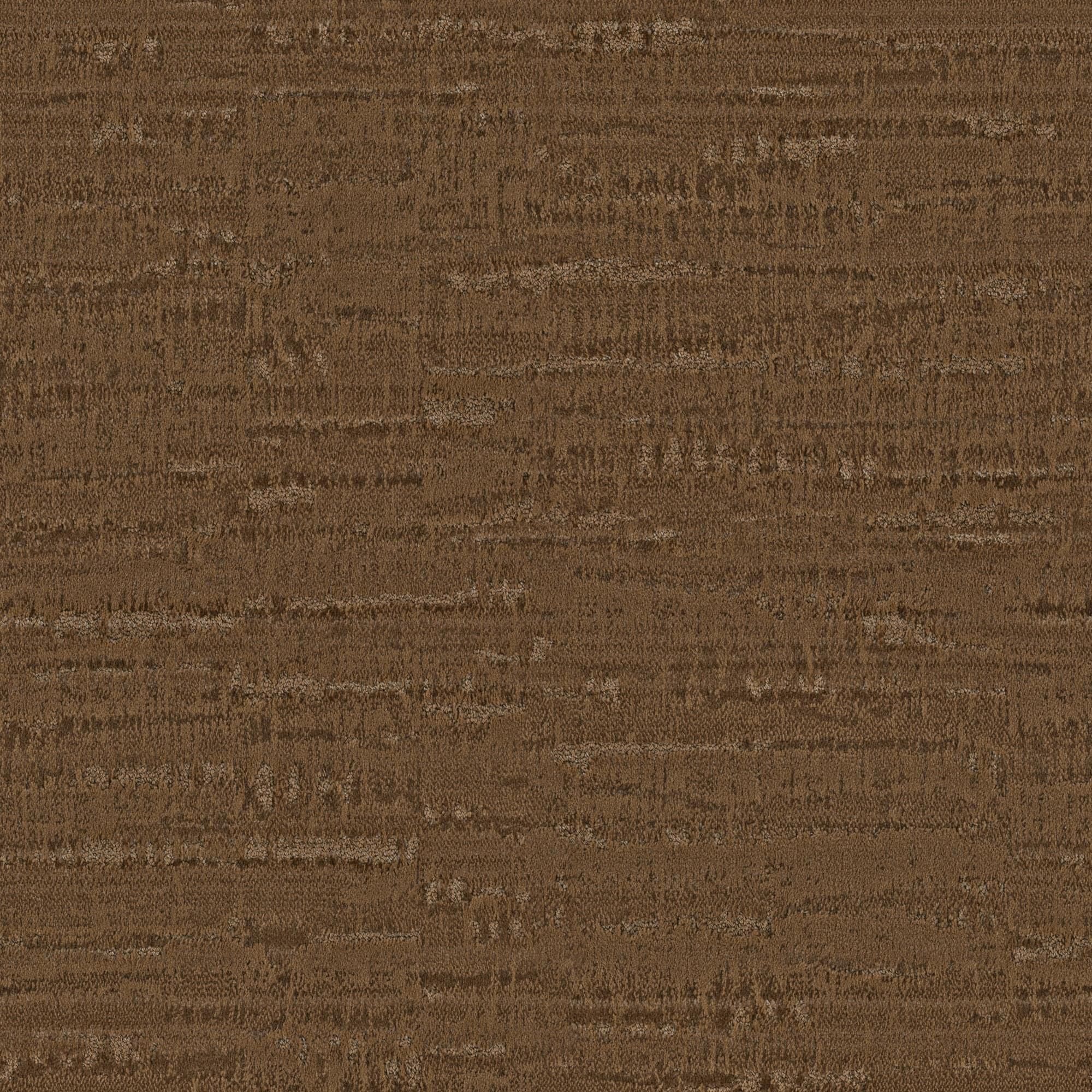 Anderson Tuftex Arbor Carpet in Chestnut