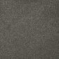Dream Weaver PS260 Carpet in Smoky Quartz, , large