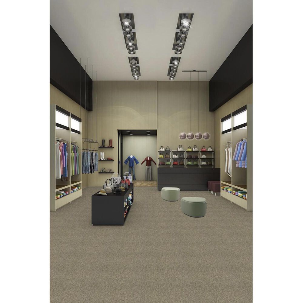 Shaw Multiplicity 18&quot; x 36&quot; Carpet Tile in Plethora, , large