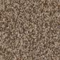 Anderson Tuftex Bossa Nova Carpet in Ranch, , large