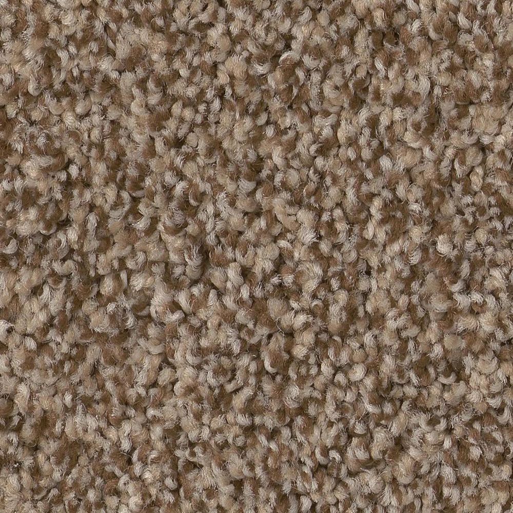 Anderson Tuftex Bossa Nova Carpet in Ranch, , large