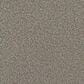 Phenix Sorrento Carpet in Riviera, , large