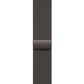 Apple Watch Series 10 GPS + Cellular 42mm Slate Titanium Case with Slate Milanese Loop, , large
