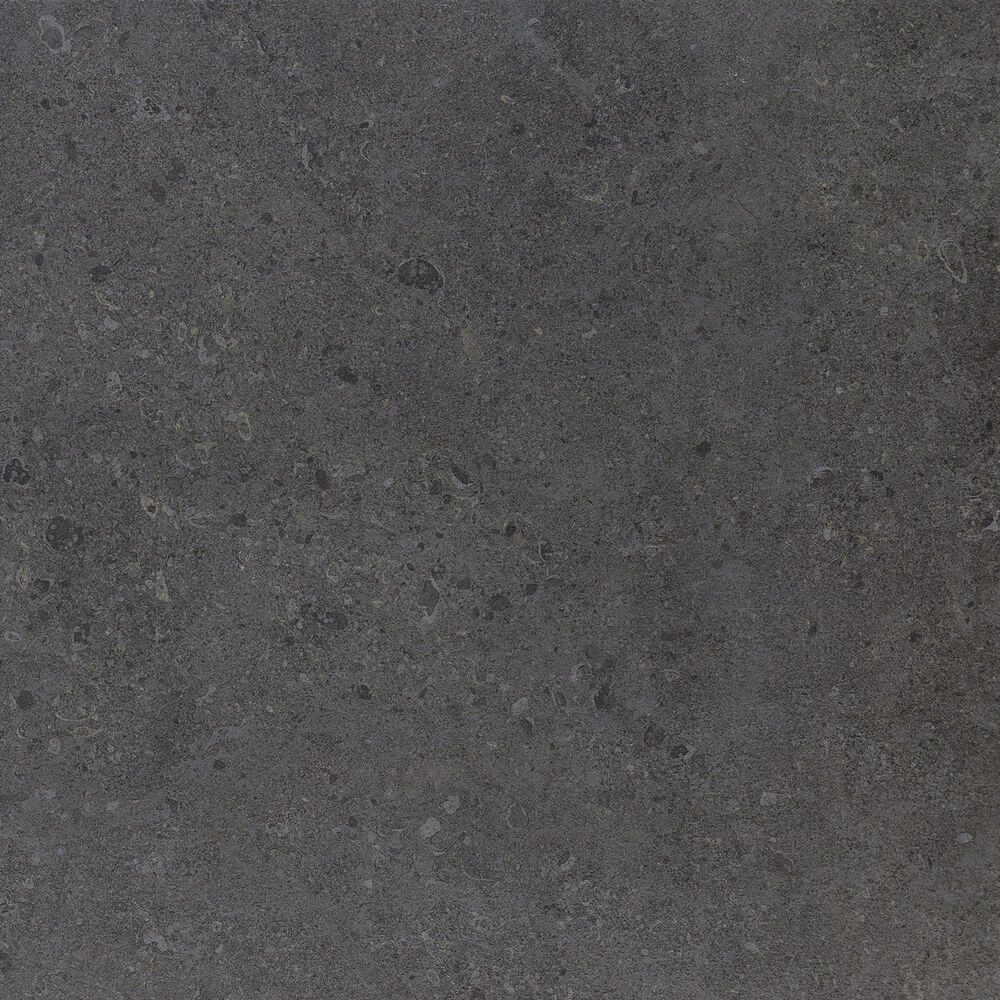 Dal-Tile Dignitary Governor Black 12&#39;&#39; x 24&#39;&#39; Porcelain Tile, , large