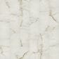 Shaw Astoria Oyster 24" x 48" Matte Porcelain Tile, , large