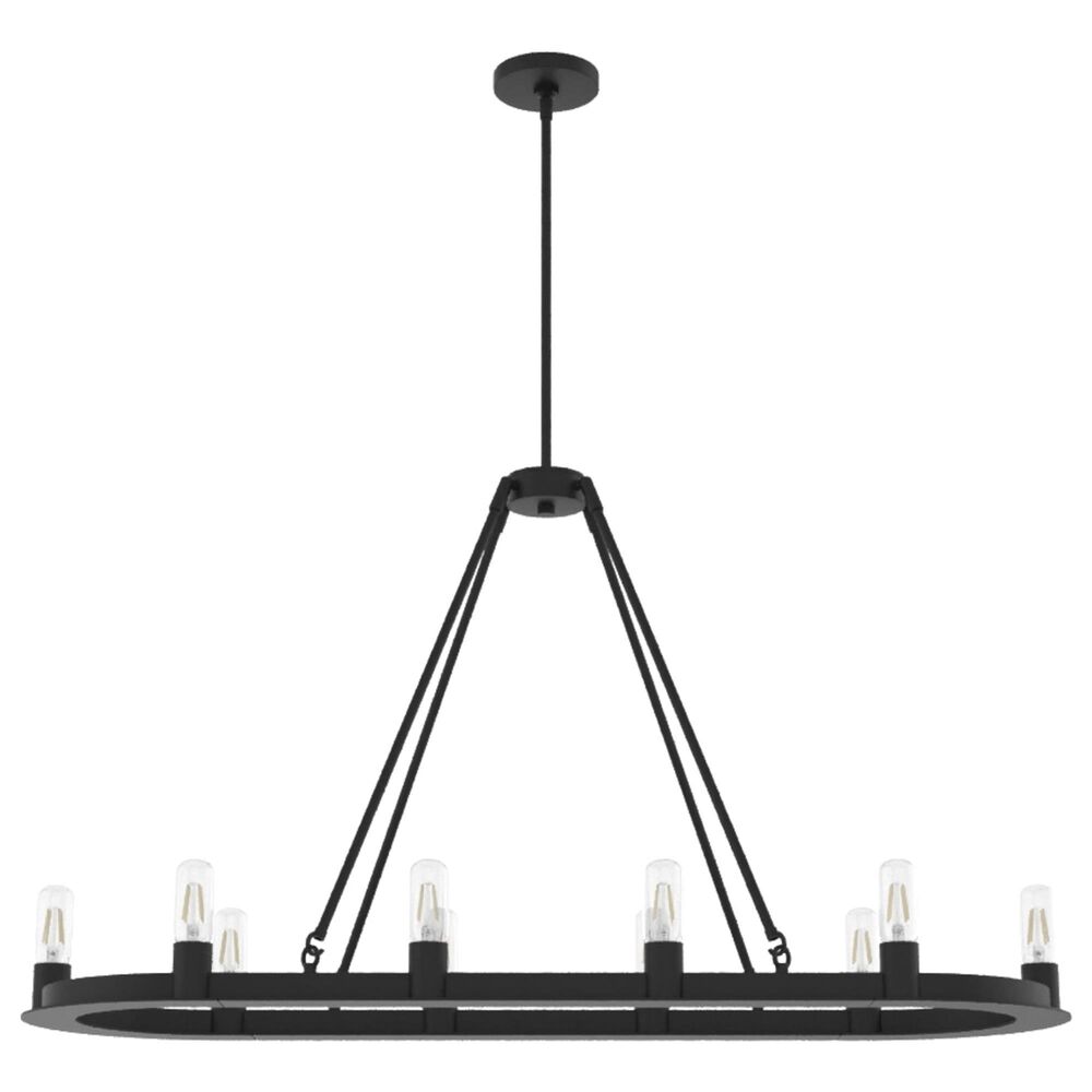 Hunter Saddlewood 10-Light Chandelier in Natural Iron, , large