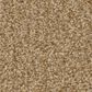 Shaw Tonal Comfort I Carpet in Pasta Recipe, , large