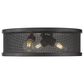 Golden Lighting Channing 15" Flush Mount in Matte Black, , large