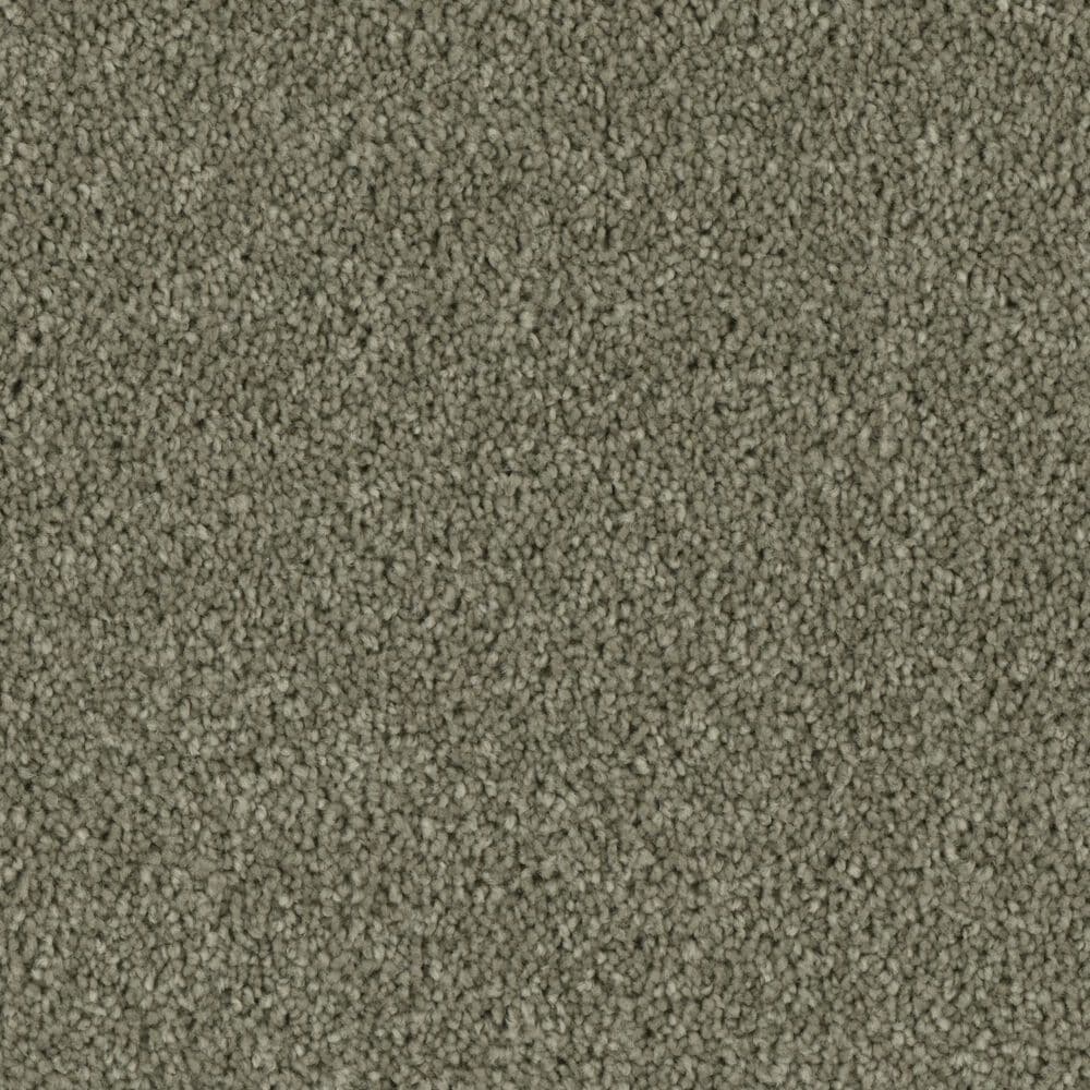 Phenix Tempt Carpet in Overwhelm, , large