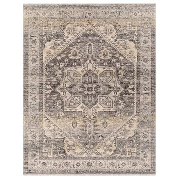 Surya Chicago CHG2316 11"11" x 15"7" Light Beige, Charcoal, Slate, Black, Blue,Taupe Area Rug, , large