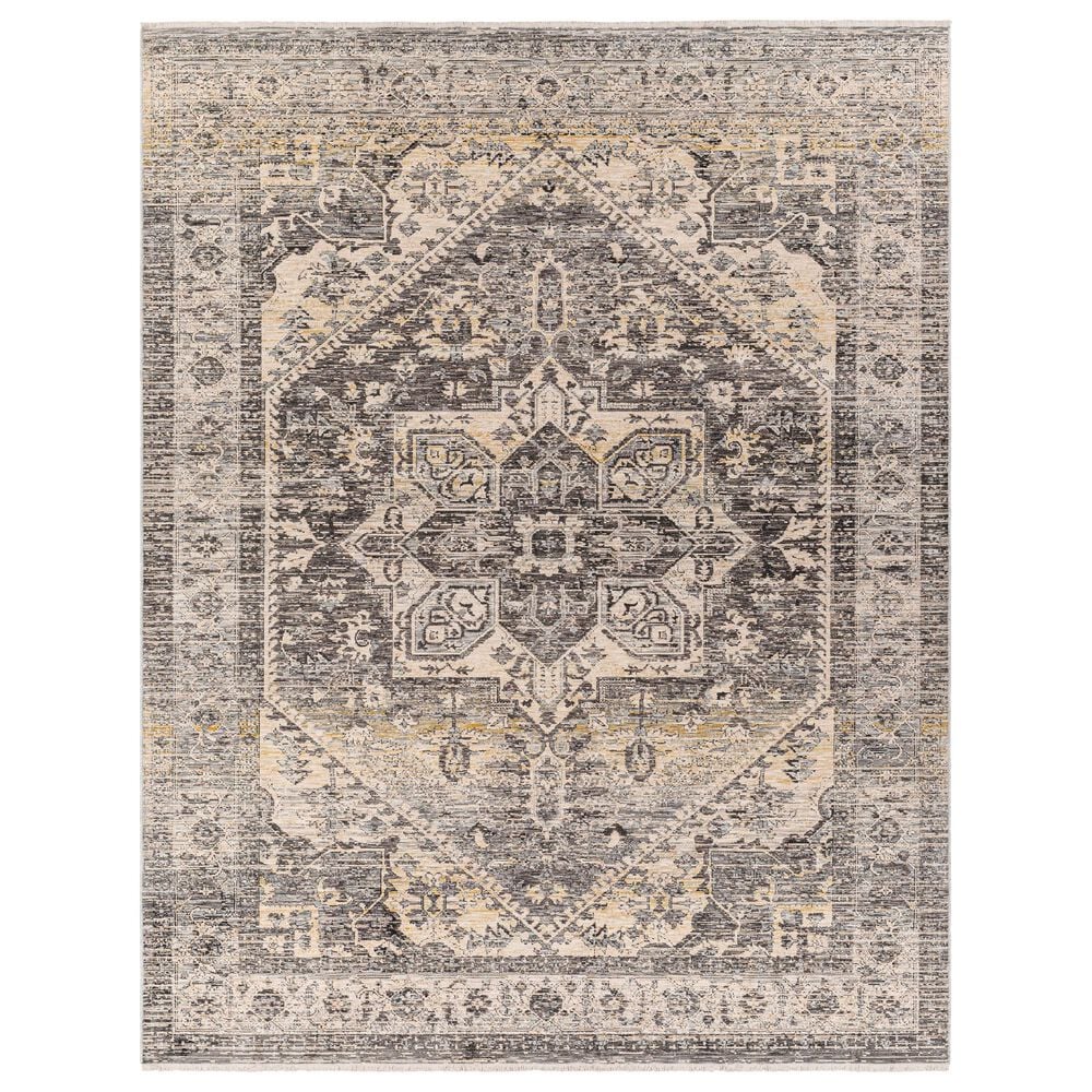 Surya Chicago CHG2316 11"11" x 15"7" Light Beige, Charcoal, Slate, Black, Blue,Taupe Area Rug, , large
