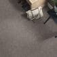 Shaw Bellera Calm Simplicity II Carpet in Newstone Haven, , large