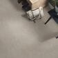 Shaw Foundations Formalize Carpet in Newstone Haven, , large