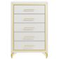Pacific Landing Lucia 5-Drawer Chest in White and Gold, , large