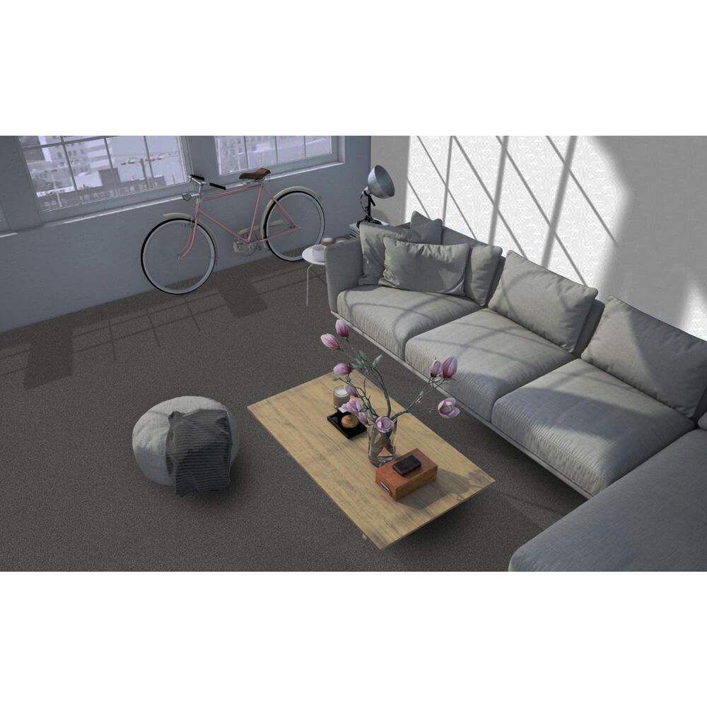 Revolution Mills Rainier Carpet in Gondola NFM