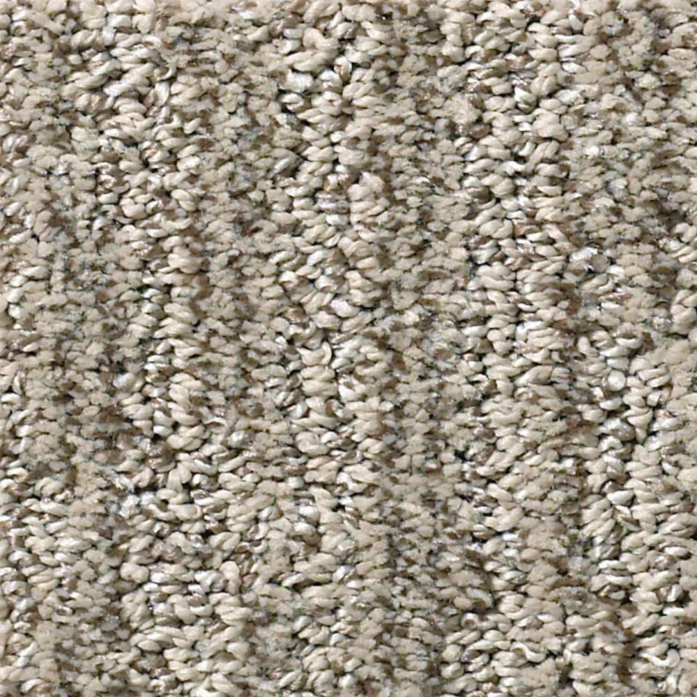 Shaw Easy Fit Carpet in Mesa, , large