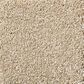 Shaw Your Comfort I Carpet in Dinner with Friends, , large