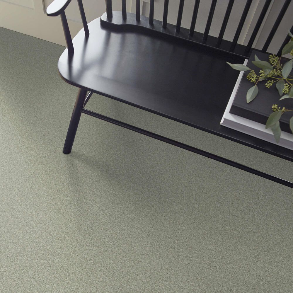 Shaw Tonal Comfort II Carpet in Willow Tree, , large
