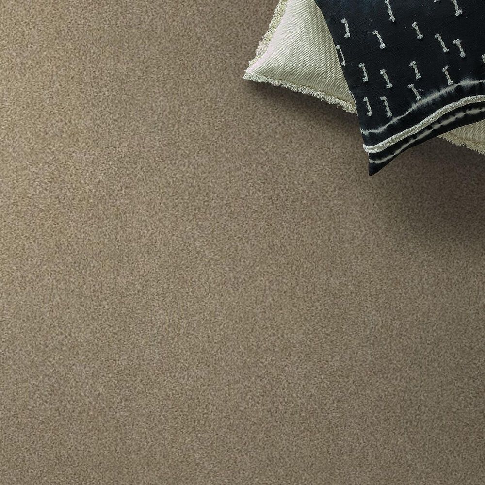 Shaw Tonal Comfort I Carpet in Honey Tea, , large