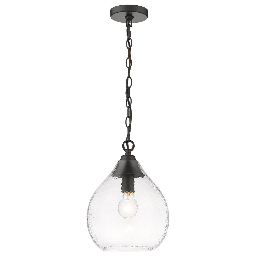 Golden Lighting Ariella 1-Light Small Pendant in Matte Black, , large