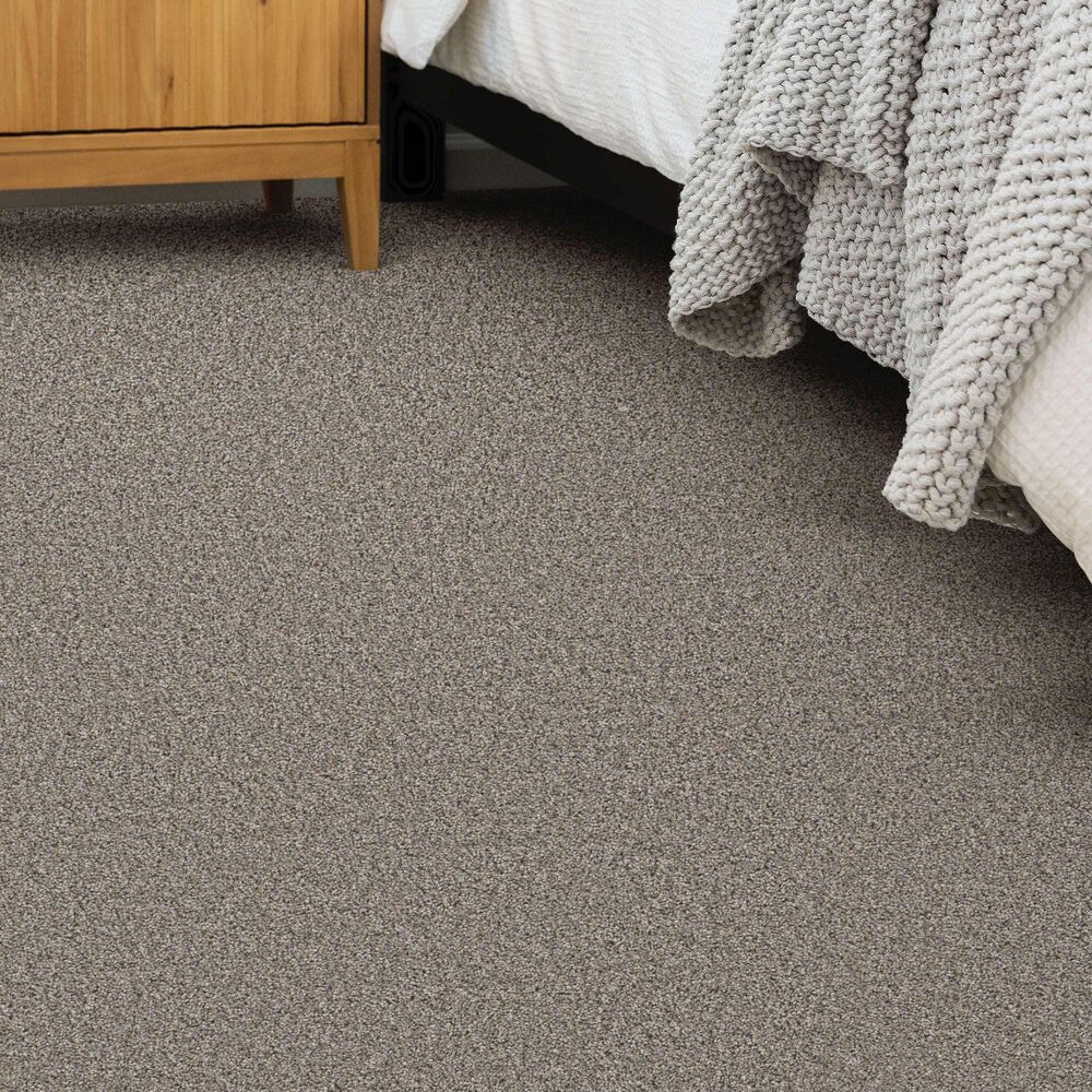 Shaw Always Right II Carpet in Graphite, , large