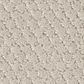 Shaw Simply Classic Carpet in Natural, , large