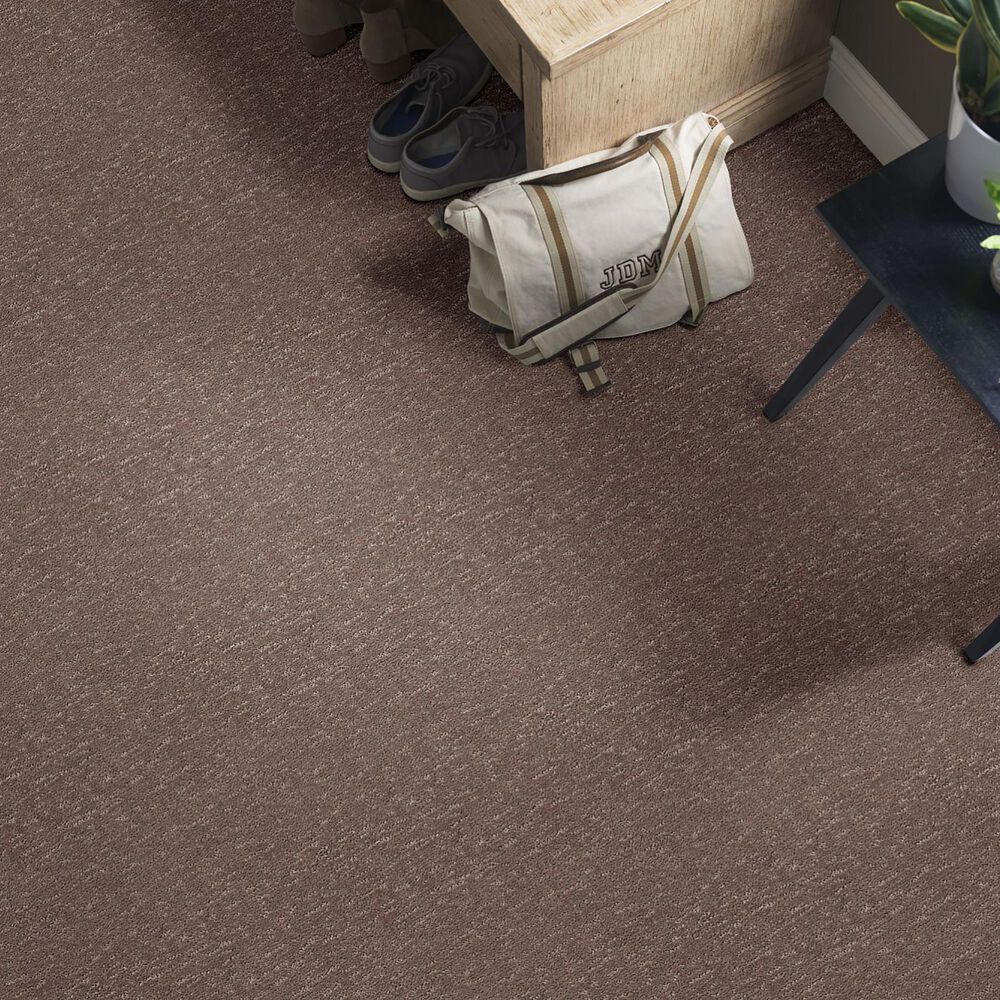 Anderson Tuftex Contour Carpet in Chantrelle, , large