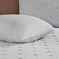 Hampton Park Brooklyn 5-Piece Twin/Twin Xl Comforter Set in Gray, , large