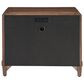 Universal Furniture Griffith Park 2-Drawer Nightstand in Sienna with AC and USB Ports, , large
