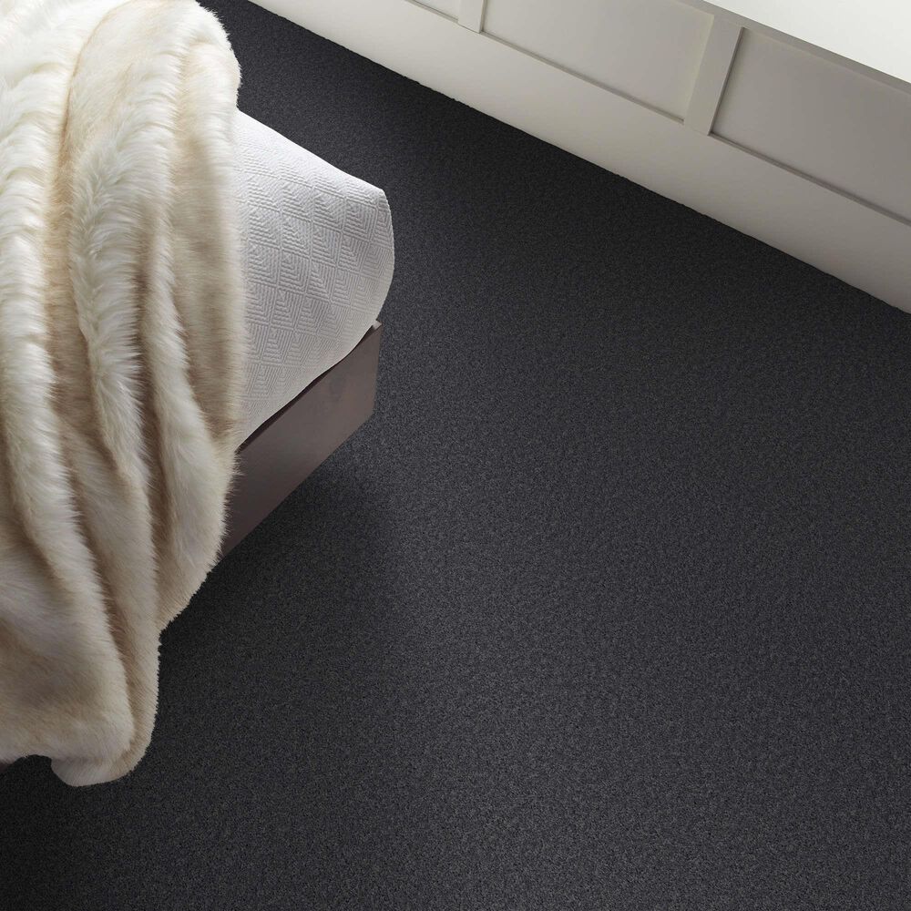 Shaw Las Cruces Carpet in Charter, , large
