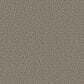 Shaw Stonebrook Carpet in Walnut Grove, , large