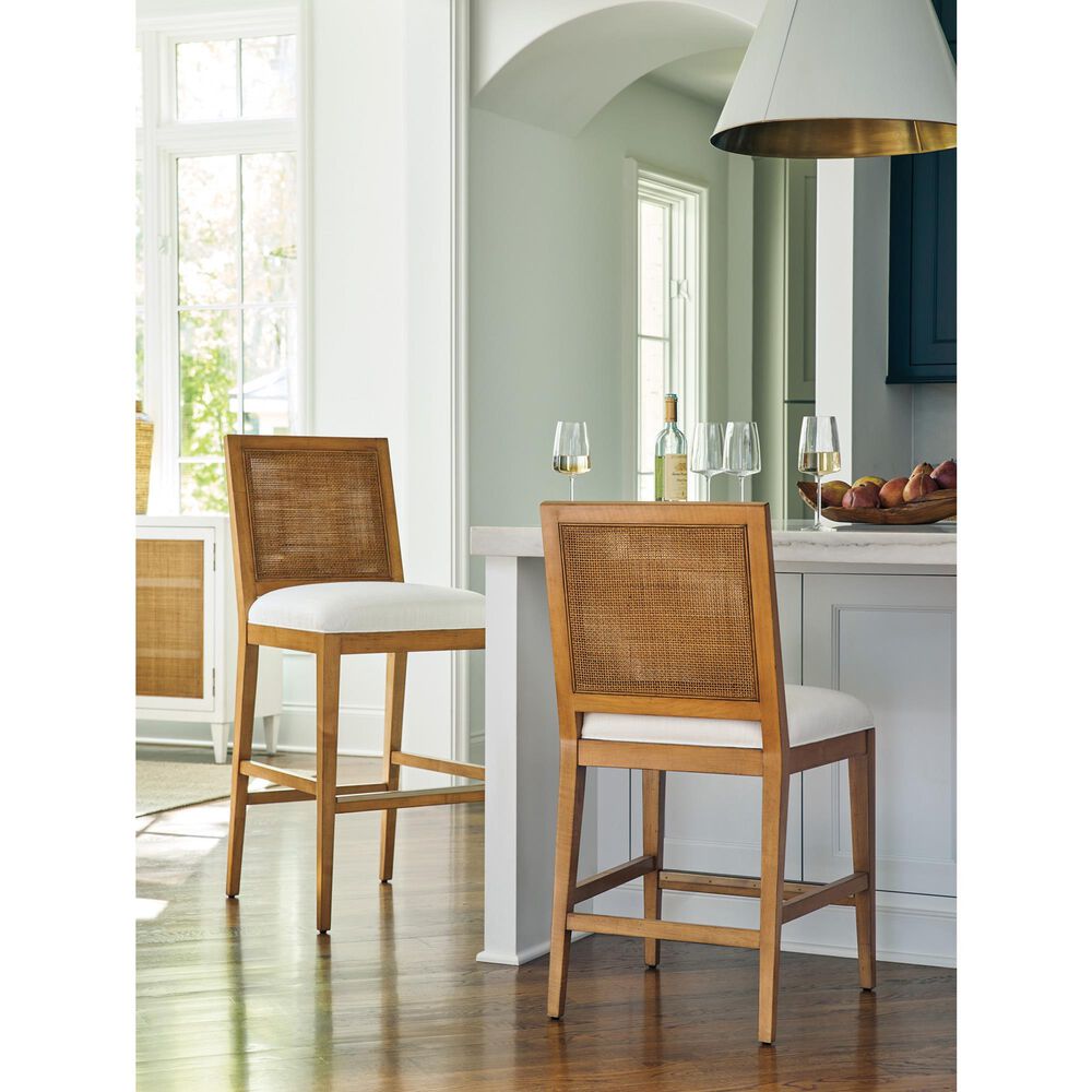 Lexington Furniture Laguna Cleo Counter Stool in Table Rock and Burnished Brass, , large
