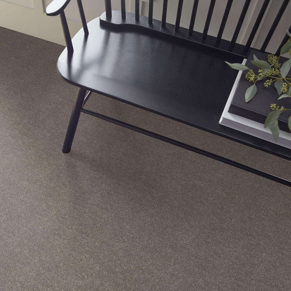 Shaw Hot Topic Carpet in Winter Birch, , large