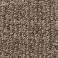 Anderson Tuftex Wanderer Carpet in Mustang, , large