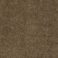 Shaw Barracan Classic II Carpet in Tobacco Leaf, , large