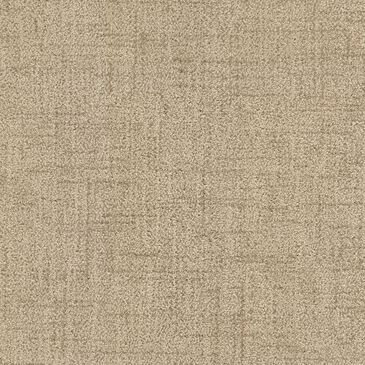 Dixie Home Tributary Carpet in Carmelite, , large