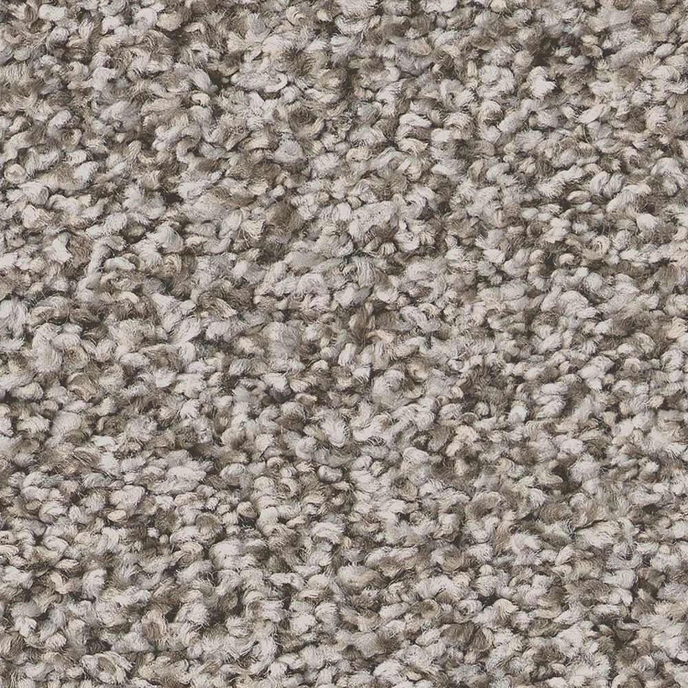 Shaw Tweed Comfort II Carpet in Stand Out, , large