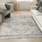 Nourison Astra Machine Washable 6"7" x 9" Grey and Blue Area Rug, , large